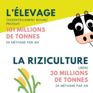 La production annuelle de méthane de l'élevage et de la riziculture